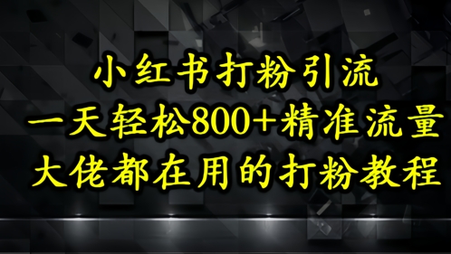 小红书打粉引流，一天轻松500+精准流量，大佬都在用的打粉教程-E六资源