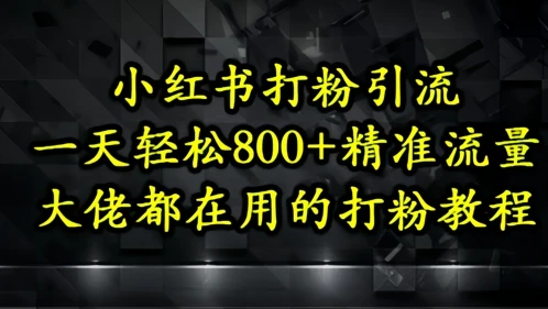 图片[1]-小红书打粉引流，一天轻松500+精准流量，大佬都在用的打粉教程-E六资源
