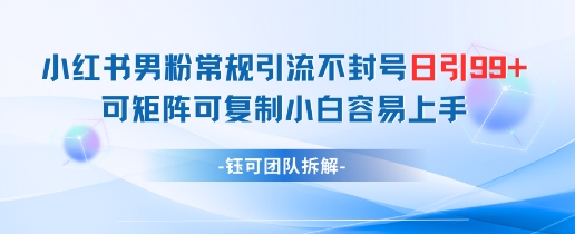 小红书男粉常规引流不封号日引99+变现简单 可矩阵可复制小白容易上手-E六资源
