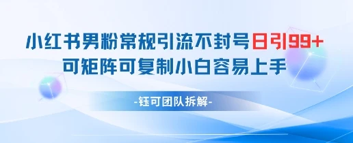 图片[1]-小红书男粉常规引流不封号日引99+变现简单 可矩阵可复制小白容易上手-E六资源