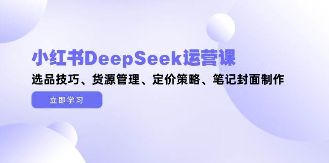 小红书DeepSeek运营课，选品技巧、货源管理、定价策略、笔记封面制作-E六资源