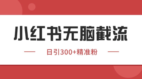 小红书只要你有同行就能获客，独家野路子获客玩法，暴力截流-E六资源