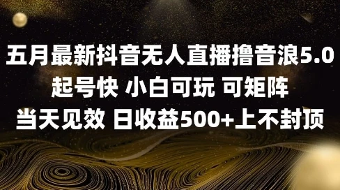 图片[1]-2025五月最新无人直播撸音浪单日产出5张+实操教程-E六资源
