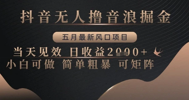 图片[1]-抖音无人撸音浪掘金，五月最新风口项目，当天见效，日收益多张，小白可做简单粗暴可矩阵-E六资源