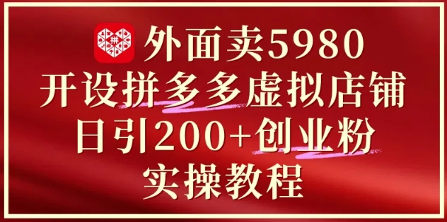 图片[1]-外面卖5980开设拼多多虚拟店铺：单日引流200+创业付费粉实战教程-E六资源
