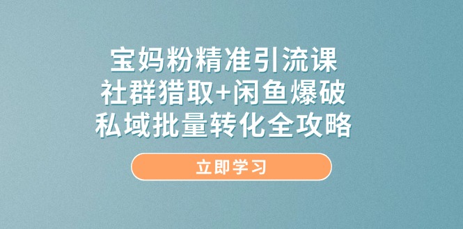 宝妈粉精准引流课，社群猎取+闲鱼爆破，私域批量转化全攻略-E六资源