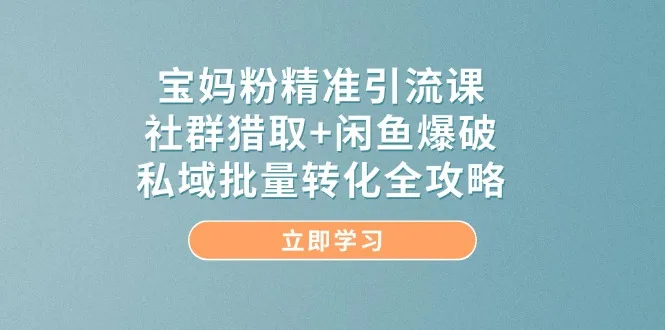 图片[1]-宝妈粉精准引流课，社群猎取+闲鱼爆破，私域批量转化全攻略-E六资源