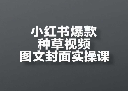 小红书爆款种草视频图文封面实操课，​开店、选品、引流、变现全流程-E六资源