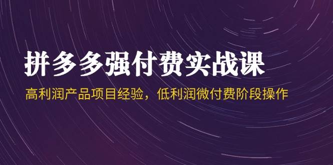 拼多多强付费实战课-44期，高利润产品项目经验，低利润微付费阶段操作-E六资源