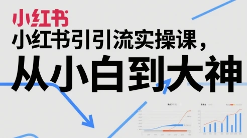 图片[1]-小红书引流实操课，从小白到大神-E六资源
