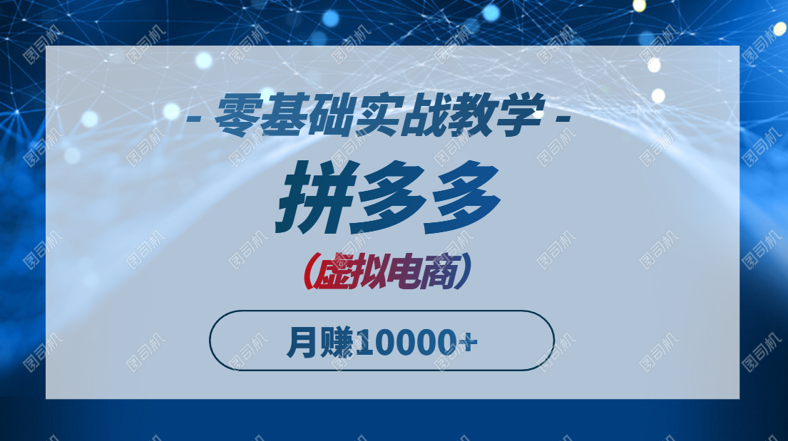 拼多多虚拟电商，零基础实战教学，快速打爆商品，新手也能月入10000+-E六资源