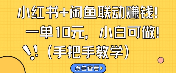 小红书+闲鱼联动挣钱，一单10元，小白可做-E六资源