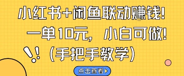 图片[1]-小红书+闲鱼联动挣钱，一单10元，小白可做-E六资源