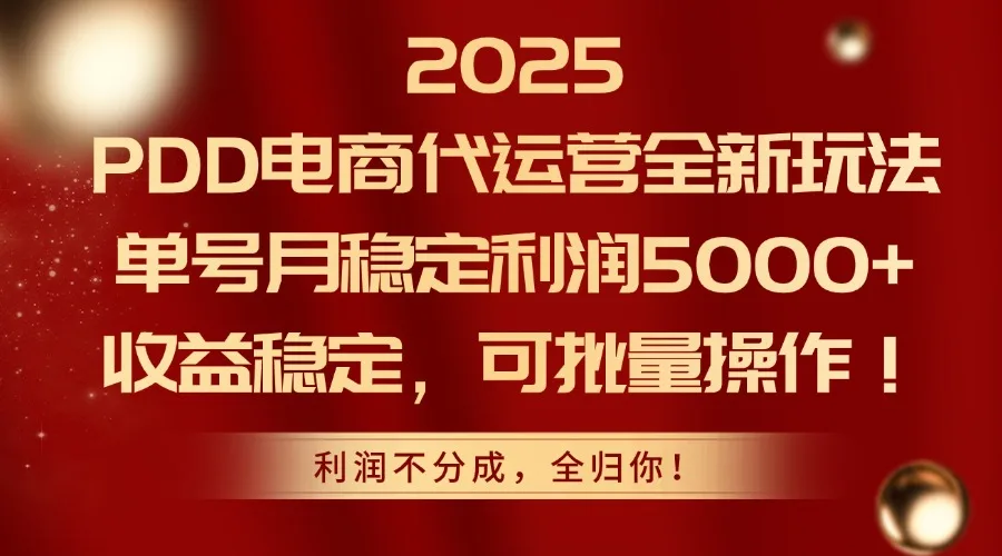 图片[1]-2025PDD电商代运营全新玩法，单号月稳定利润5000+，收益稳定，可批量操作-E六资源