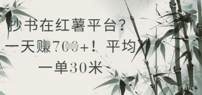 抄书在小红薯平台？平均一单30米，一天收益几张！-E六资源
