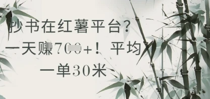 图片[1]-抄书在小红薯平台？平均一单30米，一天收益几张！-E六资源