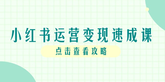 小红书运营变现速成课，账号搭建到暴力起号，个人IP全流程指南-E六资源