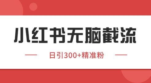 小红书截流同行客源，独家野路子获客玩法 日引200+暴力获客-E六资源