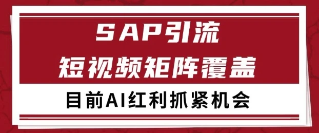 图片[1]-小红书某音sap赛道引流获客 自热矩阵日引200+-E六资源