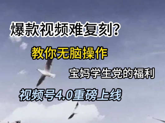 视频号4.0重磅上线，爆款视频难复刻？教你无脑操作宝妈学生党的福利-E六资源