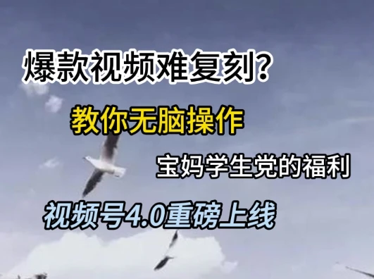 图片[1]-视频号4.0重磅上线，爆款视频难复刻？教你无脑操作宝妈学生党的福利-E六资源