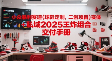 小众暴利赛道(球鞋定制，二创项目)实体+私域2025王炸组合  交付手册-E六资源