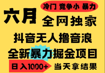25年6月高爆抖音无人直播最新撸音浪掘金项目，小白可做，无脑日入1k+，门槛低可批量矩阵-E六资源