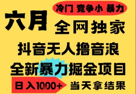 图片[1]-25年6月高爆抖音无人直播最新撸音浪掘金项目，小白可做，无脑日入1k+，门槛低可批量矩阵-E六资源