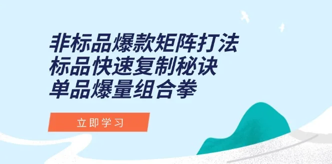 图片[1]-非标品爆款矩阵打法，标品快速复制秘诀，单品爆量组合拳-E六资源