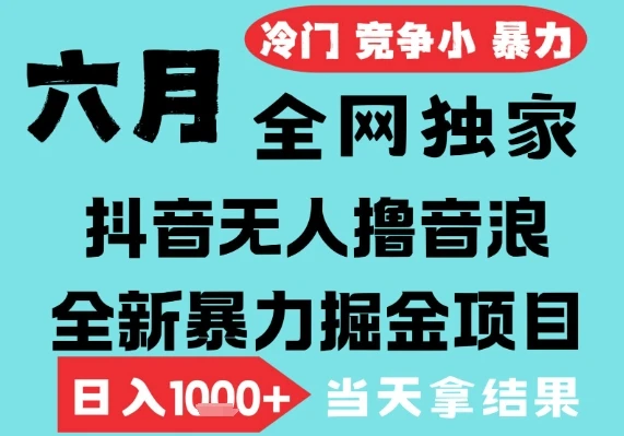 图片[1]-2025年6月高爆抖音无人直播最新撸音浪掘金项目，无脑日入1k+，低门槛小白可做，可矩阵放大-E六资源
