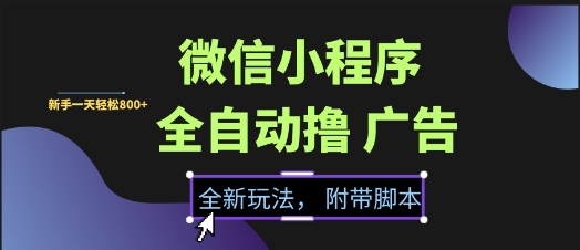 微信小程序全自动撸广告项目，彻底解决没流量的问题，新手一天8张+-E六资源