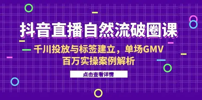 图片[1]-抖音直播自然流破圈课-6月，千川投放与标签建立，单场GMV百万实操案例解析-E六资源