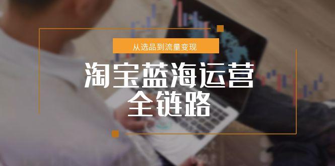 淘宝蓝海运营全链路，从选品到流量变现，小类目突围完整方案-E六资源