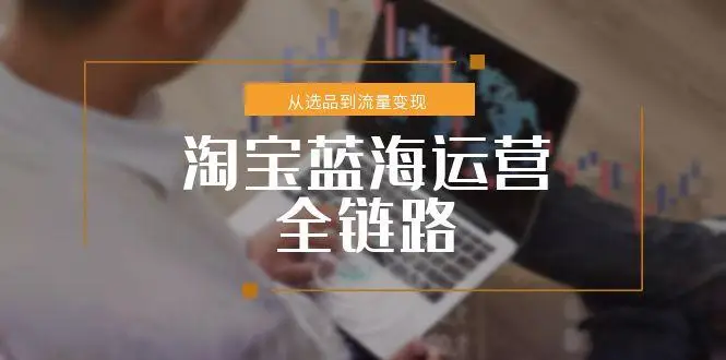 图片[1]-淘宝蓝海运营全链路，从选品到流量变现，小类目突围完整方案-E六资源