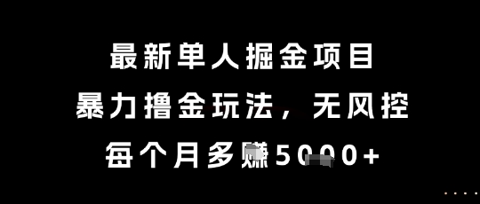 最新单人掘金项目，暴力撸金玩法，无风控，每个月多挣5k+-E六资源