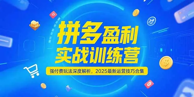 图片[1]-拼多多盈利实战训练营，强付费玩法深度解析，2025运营技巧合集-更新6月-E六资源