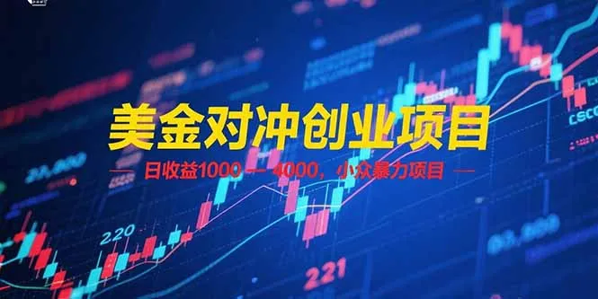 图片[1]-美金对冲创业项目，日收益 1000 – 4000，小众暴力项目-E六资源