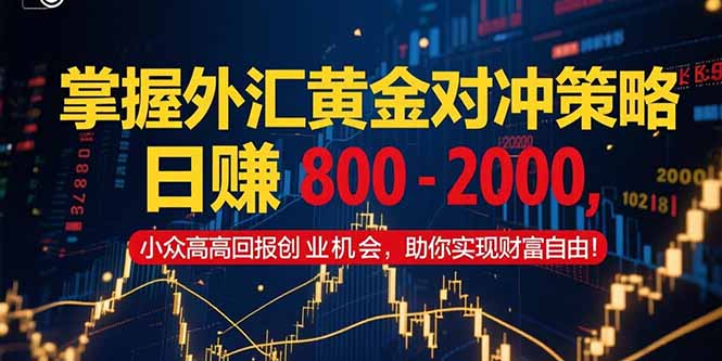 掌握外汇黄金对冲策略，日赚 800 – 2000，小众高回报创业机会，助你实…-E六资源