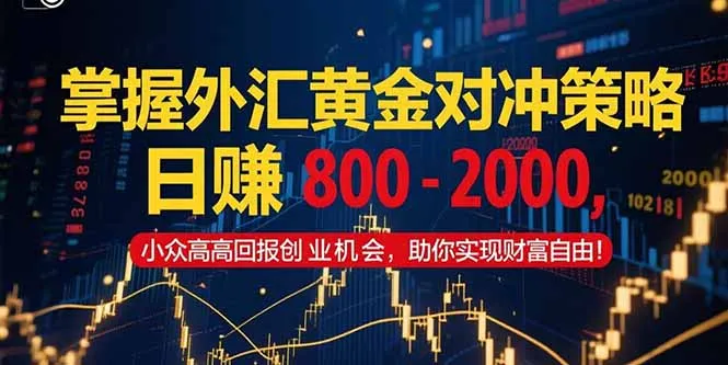 图片[1]-掌握外汇黄金对冲策略，日赚 800 – 2000，小众高回报创业机会，助你实…-E六资源