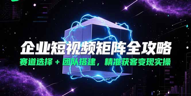 企业短视频矩阵全攻略，赛道选择+团队搭建，精准获客变现实操-E六资源