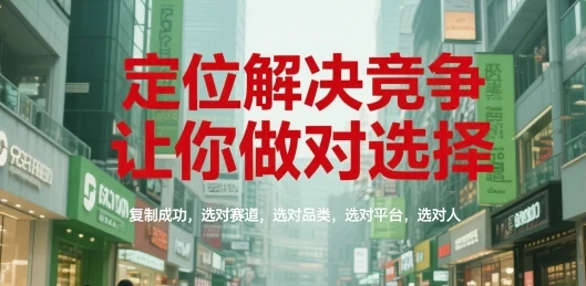 图片[1]-定位解决竞争，让你做对选择，复制成功，选对赛道，选对品类，选对平台，选对人-E六资源
