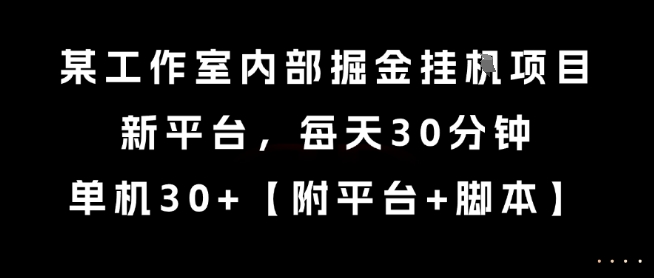 某工作室内部掘金挂G项目，新平台，每天30分钟，单机30+-E六资源