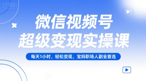 微信视频号超级变现实操课，每天1小时，轻松变现，宝妈职场人副业首选-E六资源