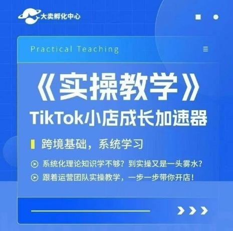大卖家孵化中心TikTok实操课，TikTok小店成长加速器，跨境基础系统学习，一步一步带你开店-E六资源