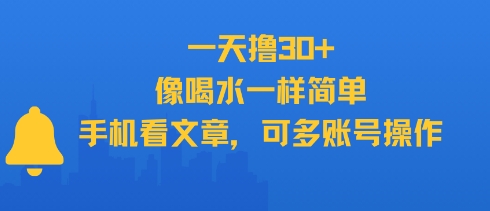 一天撸30+，像喝水一样简单，手机看文章，可多账号操作-E六资源
