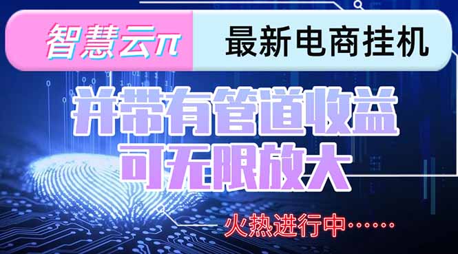 智慧云π电脑挂机单机每天收益300—500+ 并带有团队管道收益 可无限放大-E六资源