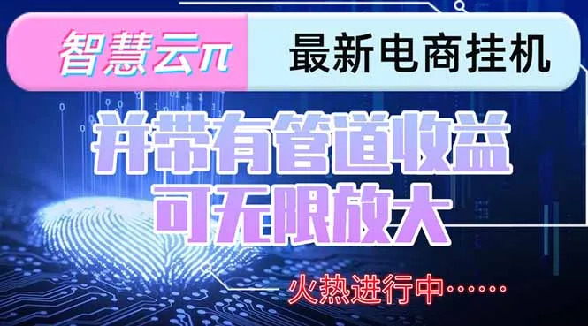 图片[1]-智慧云π电脑挂机单机每天收益300—500+ 并带有团队管道收益 可无限放大-E六资源