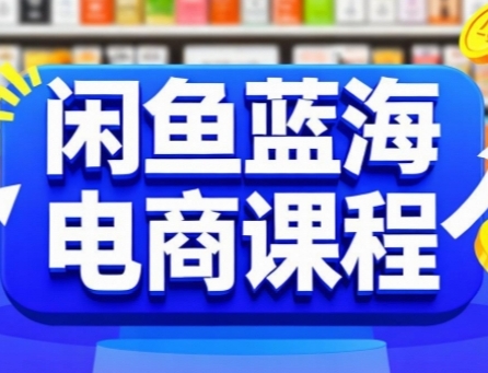 闲鱼蓝海电商课程，手把手助你快速上手，轻松实现闲鱼稳定盈利-E六资源