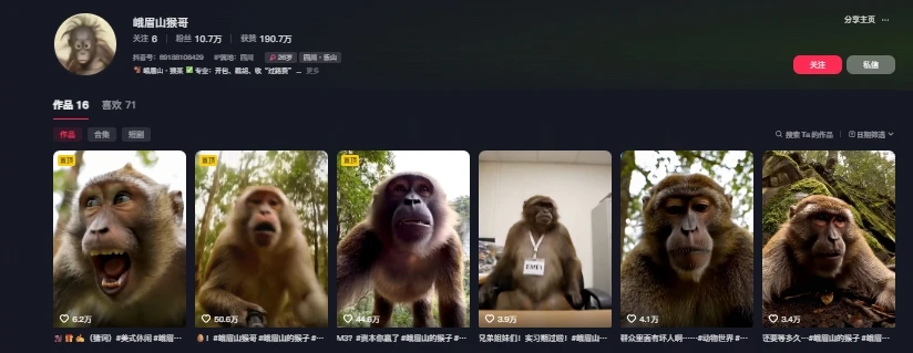 图片[2]-最新爆火的峨眉山猴子短视频制作教程，条条点赞10w+，谁做谁火【教程+提示词】-E六资源