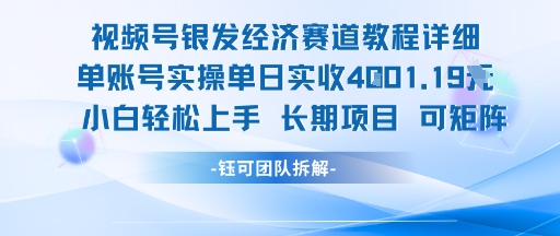 视频号银发经济赛道单账号实操单日实收1k+，小白轻松上手长期项目-E六资源